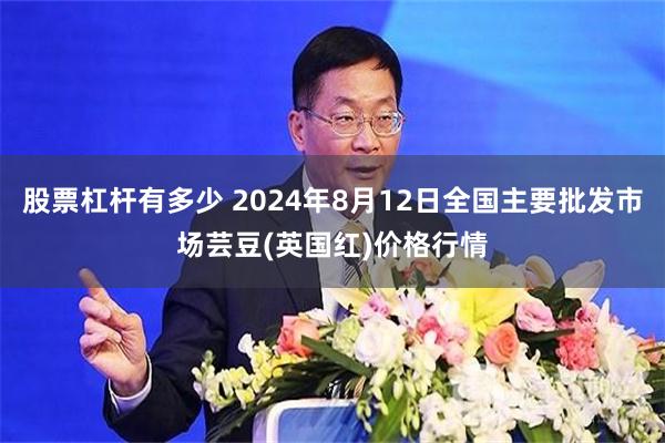 股票杠杆有多少 2024年8月12日全国主要批发市场芸豆(英国红)价格行情