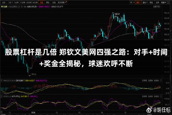 股票杠杆是几倍 郑钦文美网四强之路：对手+时间+奖金全揭秘，