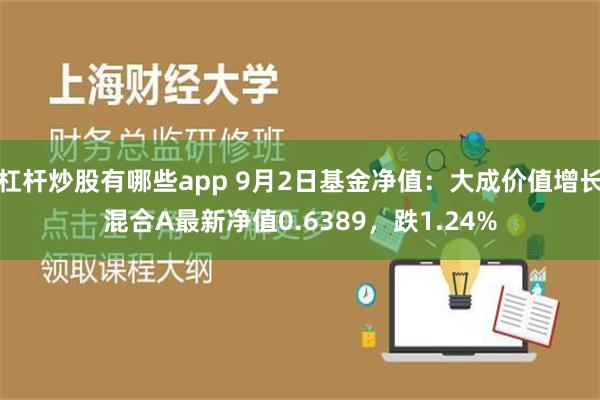 杠杆炒股有哪些app 9月2日基金净值：大成价值增长混合A最