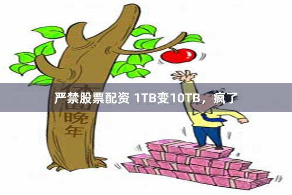 严禁股票配资 1TB变10TB，疯了