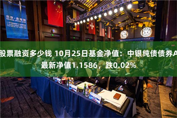 股票融资多少钱 10月25日基金净值：中银纯债债券A最新净值