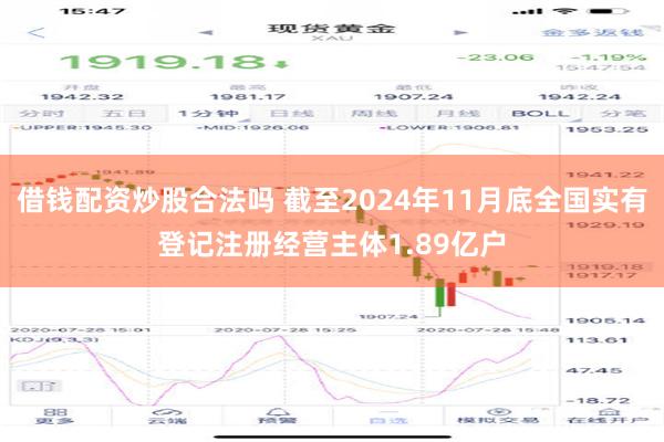 借钱配资炒股合法吗 截至2024年11月底全国实有登记注册经