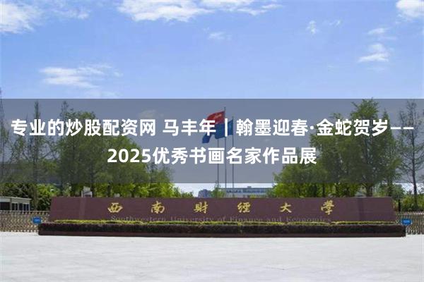 专业的炒股配资网 马丰年｜翰墨迎春·金蛇贺岁——2025优秀